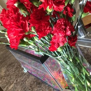 Meet your Posher, Perla